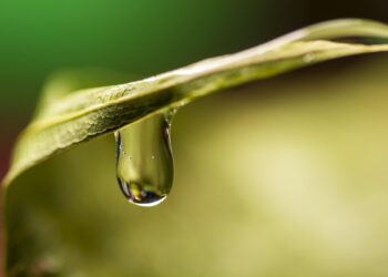 Unlocking the Power of Rain: Sustainable Stormwater Management Tips
