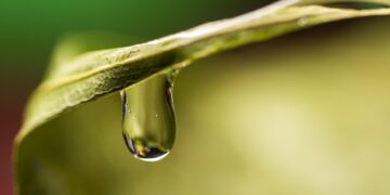 Unlocking the Power of Rain: Sustainable Stormwater Management Tips