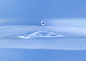 Green Blueprint: Crafting an Eco-Friendly Plumbing System for Sustainable Living