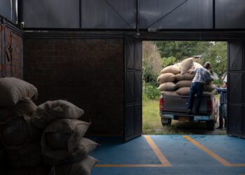 Revolutionizing Agriculture: How Small Farms Can Thrive with Regenerative Practices