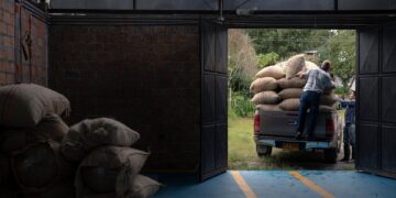 Revolutionizing Agriculture: How Small Farms Can Thrive with Regenerative Practices