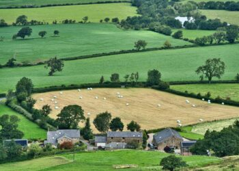 Hydroponic Harvest: A Beginner’s Guide to Thriving in Soilless Farming