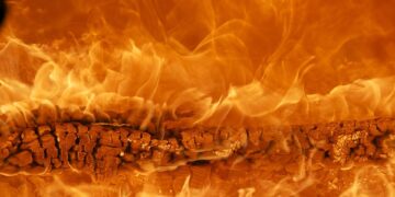 Shining Light on Savings: A Budget-Friendly Guide to Installing Solar Panels