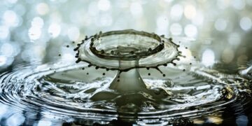 Maximizing Water Efficiency: A Guide to Sustainable Drip Irrigation Techniques