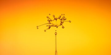 Flowing Towards Sustainability: How Low Flow Fixtures Can Save Water and Money in Your Home