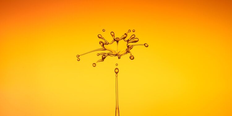 Flowing Towards Sustainability: How Low Flow Fixtures Can Save Water and Money in Your Home