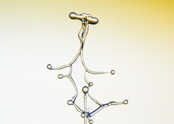 Protecting Our Waterways: Building Sustainable Communities Through Watershed Management