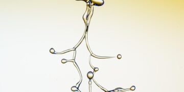 Protecting Our Waterways: Building Sustainable Communities Through Watershed Management