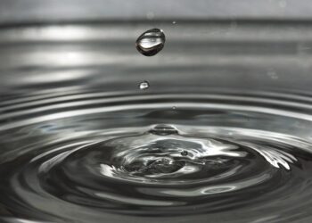 Growing Green: Sustainable Irrigation Solutions for Thriving Home Gardens