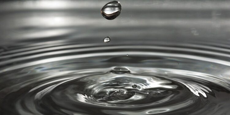 Growing Green: Sustainable Irrigation Solutions for Thriving Home Gardens