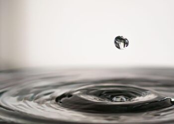 Maximizing Space: Creative Water-Efficient Landscaping for Small Gardens