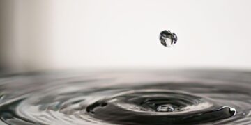 Maximizing Space: Creative Water-Efficient Landscaping for Small Gardens