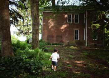 alone, boy, outdoors, house, home, toddler, backyard, daylight, lost, little boy, walking alone, alone, alone, boy, house, house, home, home, home, home, backyard, backyard, backyard, backyard, backyard, lost, lost