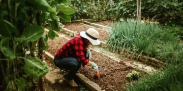 Woman in a hat tending to a vegetable garden, surrounded by lush plants, showcasing outdoor gardening.