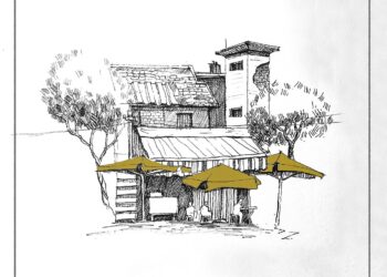 house, trees, sketch, line art, street sketch, street style, nature, house sketch, home, line drawing