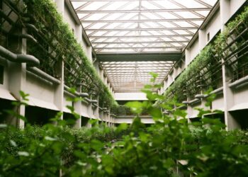 a building with lots of plants growing inside of it