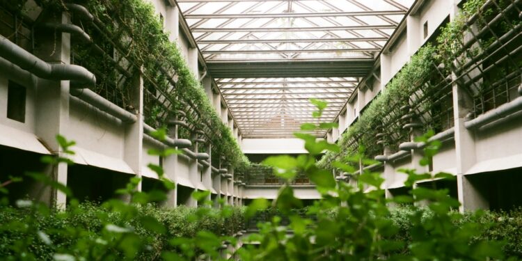 a building with lots of plants growing inside of it