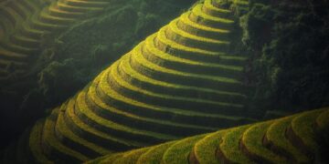 Unlocking the Secrets of Successful Organic Crop Rotation: A Comprehensive Guide