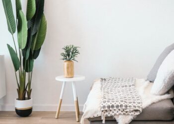 green leaf plant beside wall