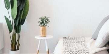 green leaf plant beside wall