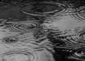 puddle, water, nature, rain, splash, monochrome