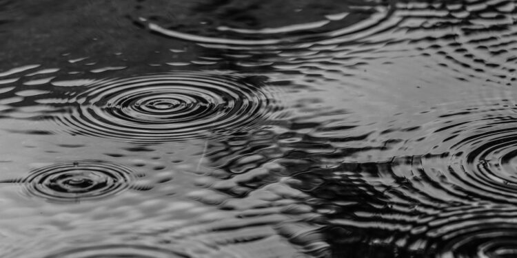 puddle, water, nature, rain, splash, monochrome