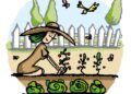 garden, gardening, vegetable garden, dirt, rural scene, nature, cartoon, care, plant, planting, working, botany, domestic life, happiness, yard, woman, garden, garden, vegetable garden, vegetable garden, vegetable garden, vegetable garden, vegetable garden