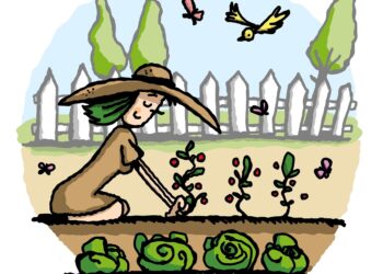 garden, gardening, vegetable garden, dirt, rural scene, nature, cartoon, care, plant, planting, working, botany, domestic life, happiness, yard, woman, garden, garden, vegetable garden, vegetable garden, vegetable garden, vegetable garden, vegetable garden