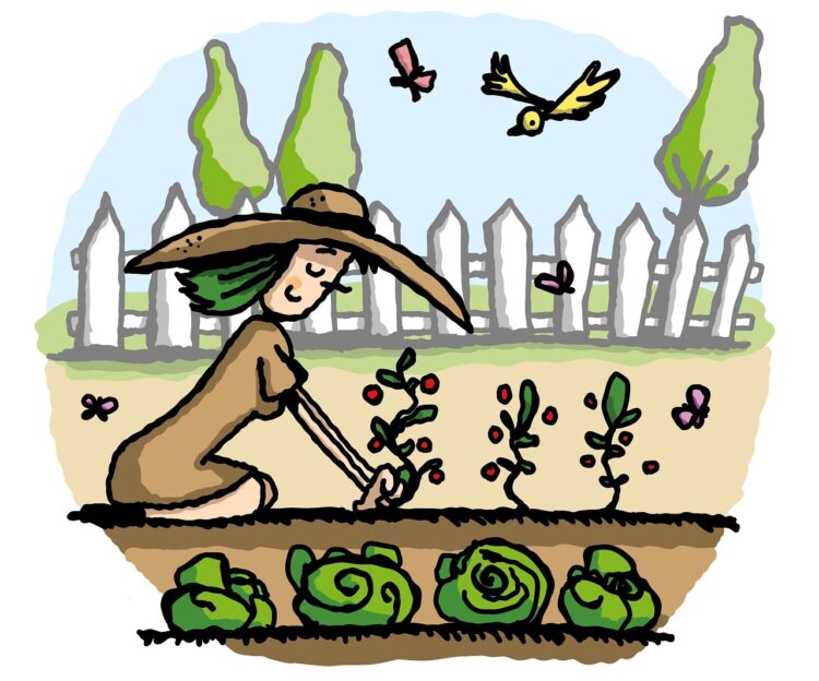 garden, gardening, vegetable garden, dirt, rural scene, nature, cartoon, care, plant, planting, working, botany, domestic life, happiness, yard, woman, garden, garden, vegetable garden, vegetable garden, vegetable garden, vegetable garden, vegetable garden