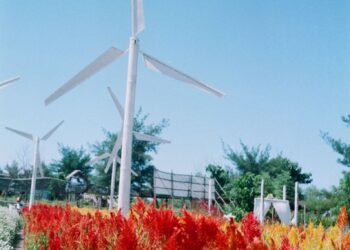 white wind turbine on red and yellow flower field under blue sky during daytime