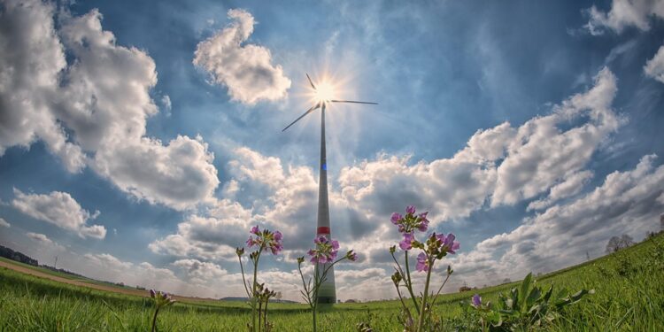 Empower Your Home: Essential Tips for Investing in Renewable Energy