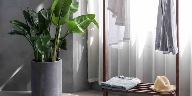 gray dress shirt hang on brown wooden rack in front of window with white curtain
