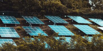 blue solar panels on green trees during daytime