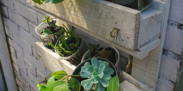 green plant on white wooden box