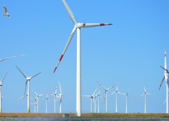 Empowering Your Home: Harnessing the Future with Bioenergy Technologies