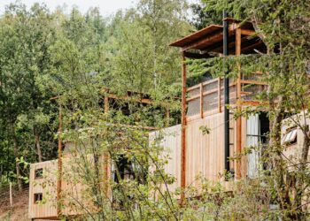 brown wooden fence near green trees during daytime