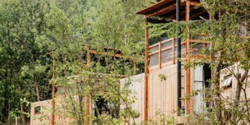 brown wooden fence near green trees during daytime