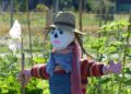scarecrow, garden, incredible, edible, incredible edible, permaculture, summer, arsac, médoc, france, nature, scarecrow, scarecrow, scarecrow, scarecrow, scarecrow, incredible, permaculture, permaculture, permaculture
