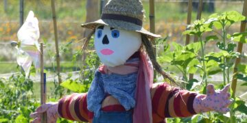 scarecrow, garden, incredible, edible, incredible edible, permaculture, summer, arsac, médoc, france, nature, scarecrow, scarecrow, scarecrow, scarecrow, scarecrow, incredible, permaculture, permaculture, permaculture