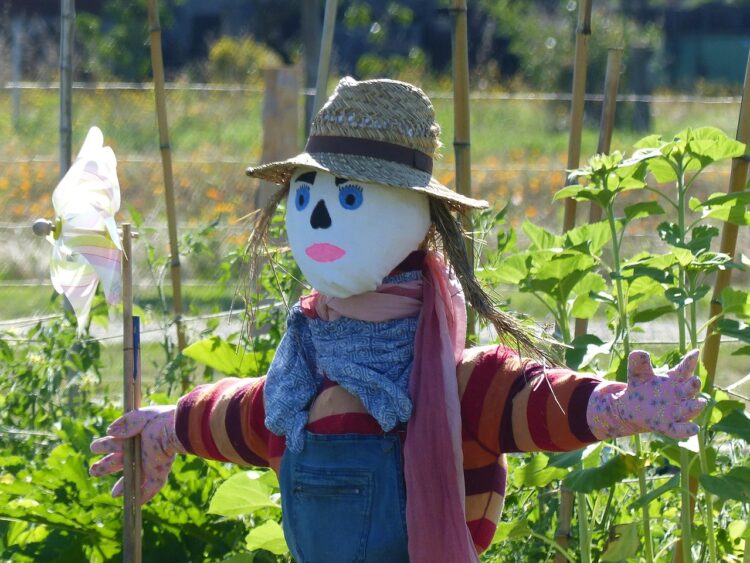 scarecrow, garden, incredible, edible, incredible edible, permaculture, summer, arsac, médoc, france, nature, scarecrow, scarecrow, scarecrow, scarecrow, scarecrow, incredible, permaculture, permaculture, permaculture