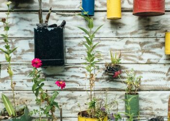green leafed plant in can hanging on wall
