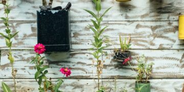 green leafed plant in can hanging on wall