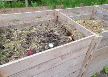 a couple of wooden boxes filled with dirt