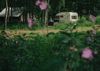 white and brown house surrounded by green trees