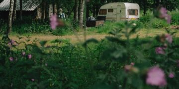 white and brown house surrounded by green trees