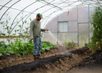 man in green dress shirt and gray pants standing on green plants during daytime