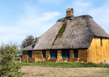 A small house with a thatched roof in a field