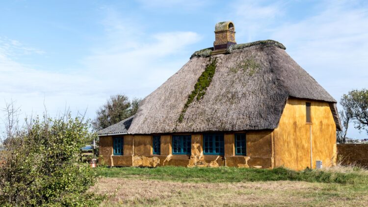 A small house with a thatched roof in a field