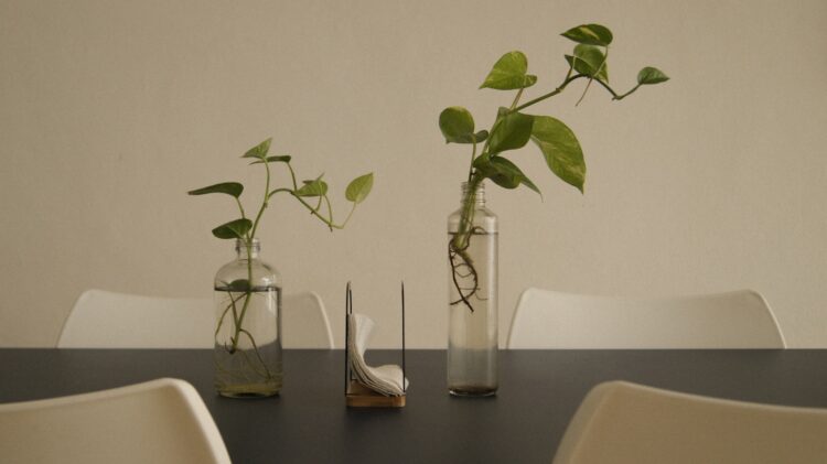 Plants in vases decorate a table setting.