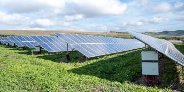 blue solar panels on green grass field under white clouds and blue sky during daytime